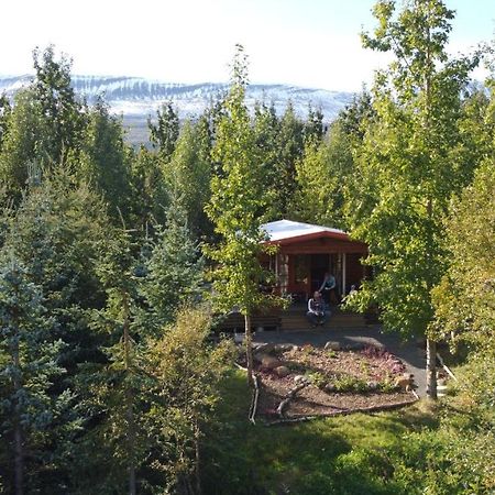 Bakkakot 1 - Cozy Cabins In The Woods Akureyri Eksteriør bilde