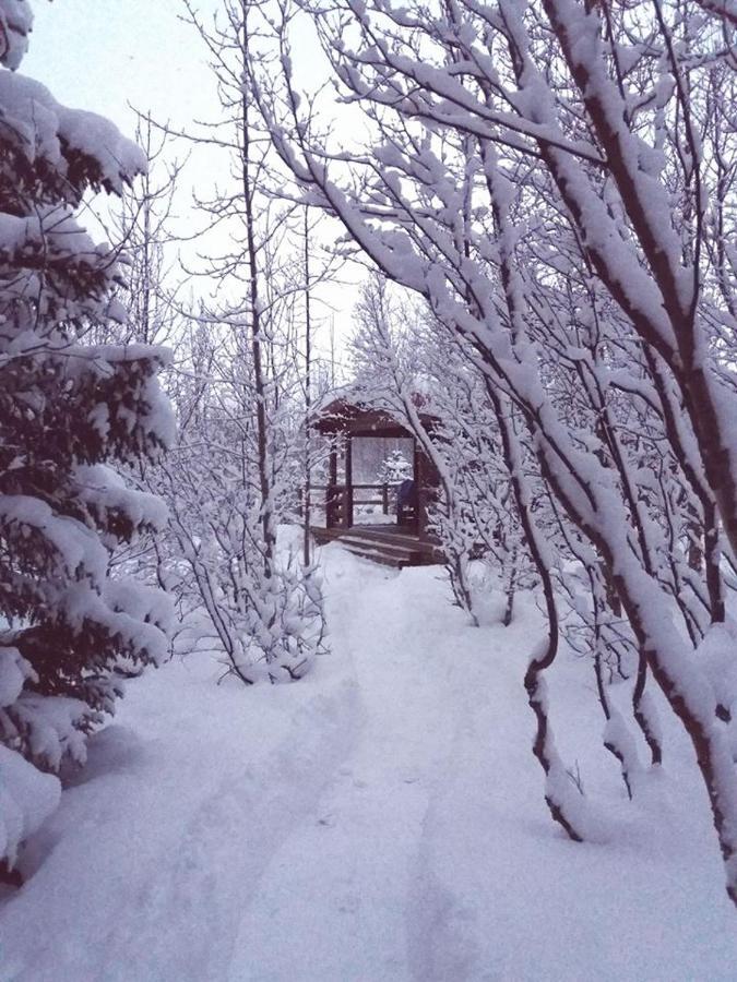 Bakkakot 1 - Cozy Cabins In The Woods Akureyri Eksteriør bilde