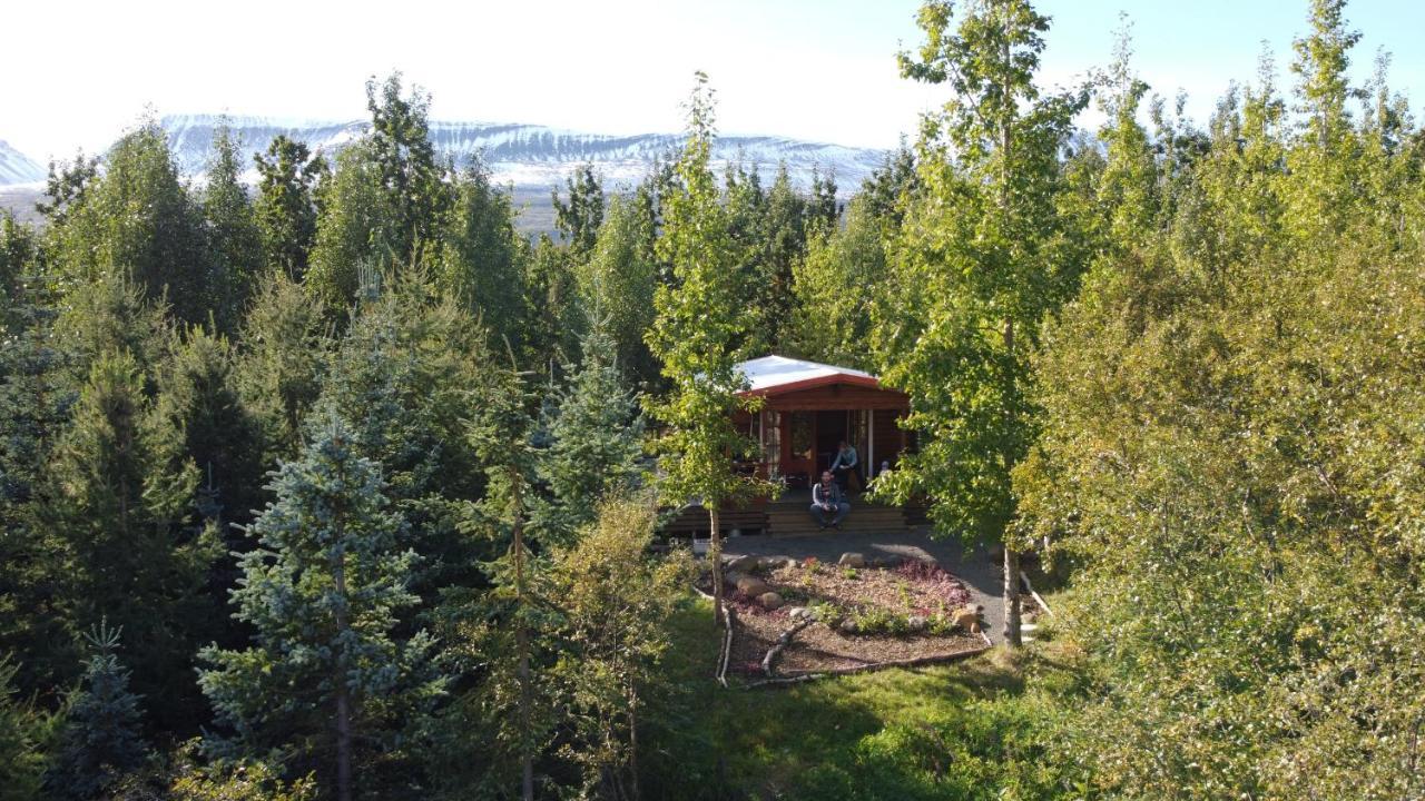 Bakkakot 1 - Cozy Cabins In The Woods Akureyri Eksteriør bilde