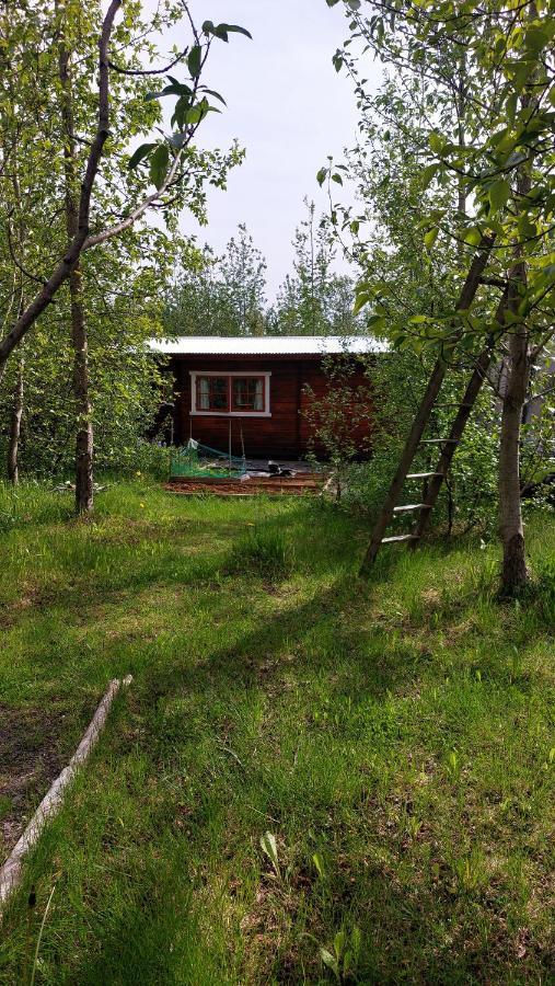 Bakkakot 1 - Cozy Cabins In The Woods Akureyri Eksteriør bilde